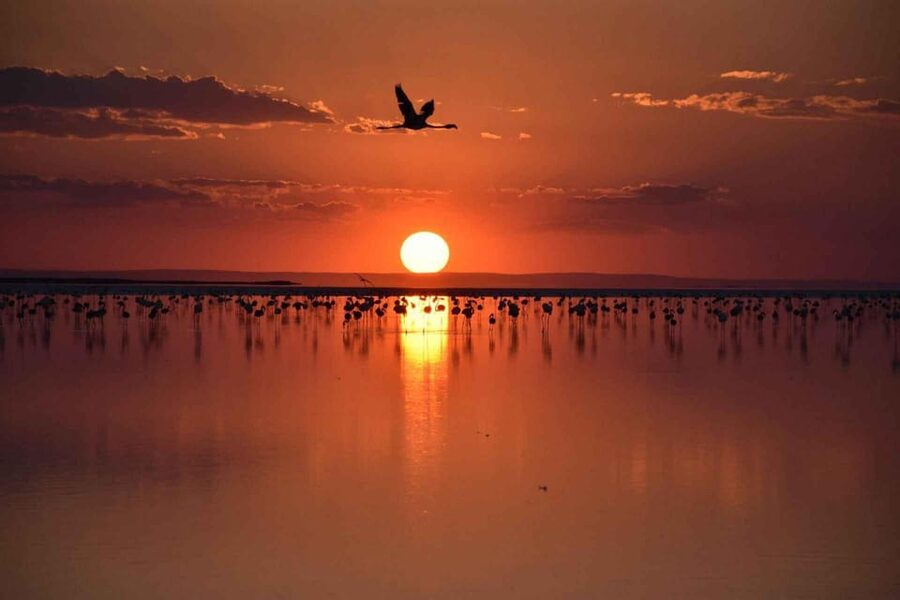 Cappadocia Amazing Sunset Tour To Salt Lake - The Photo Stop and Guided Touring That Keeps You Oriented