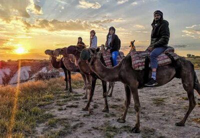 Camel Safari