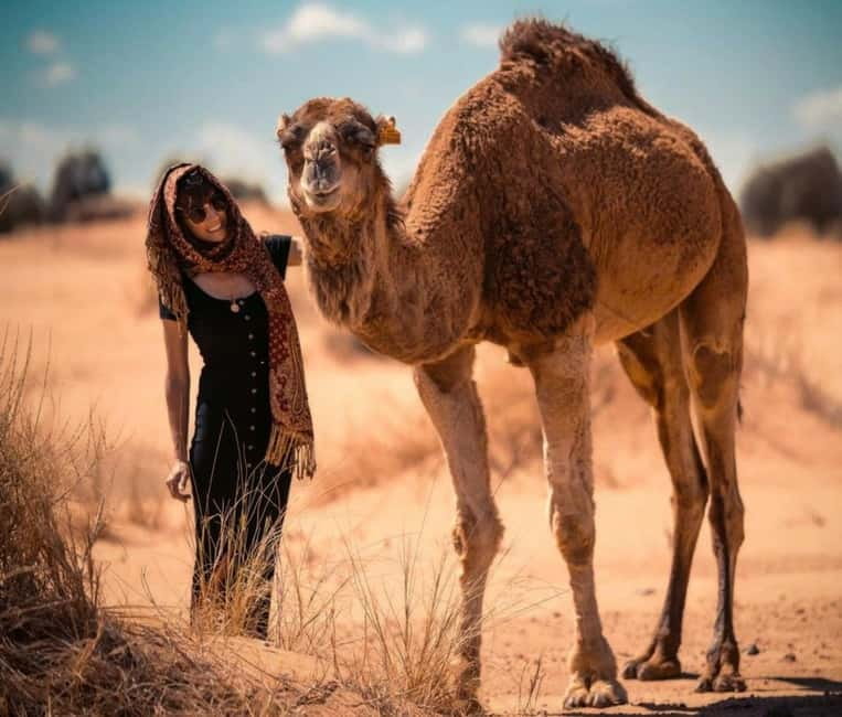 Cappadocia: Camel Safari Tour with Transfer - Why Cappadocia Feels Different From a Camel Ride