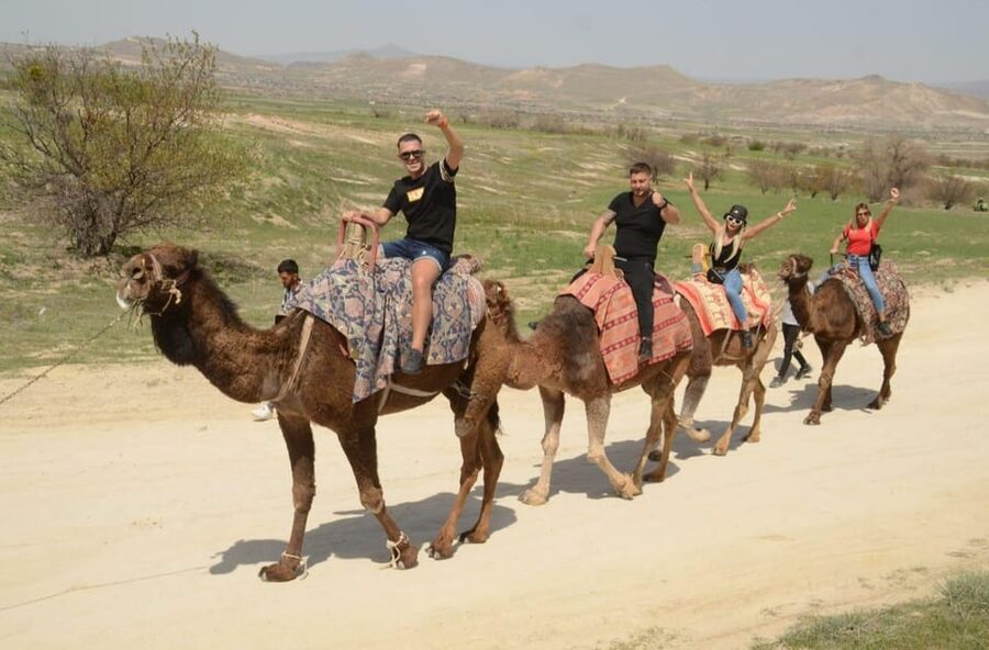 Cappadocia: Camel Safari Tour with Transfer - Group Size, Timing, and How to Keep the Ride Smooth