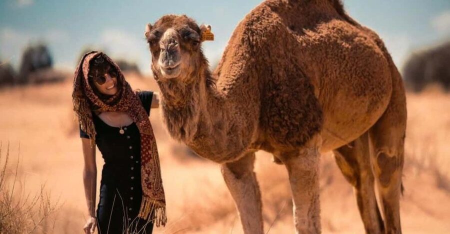 Cappadocia: Camel Safari Tour with Transfer - A Quick Reality Check on Expectations