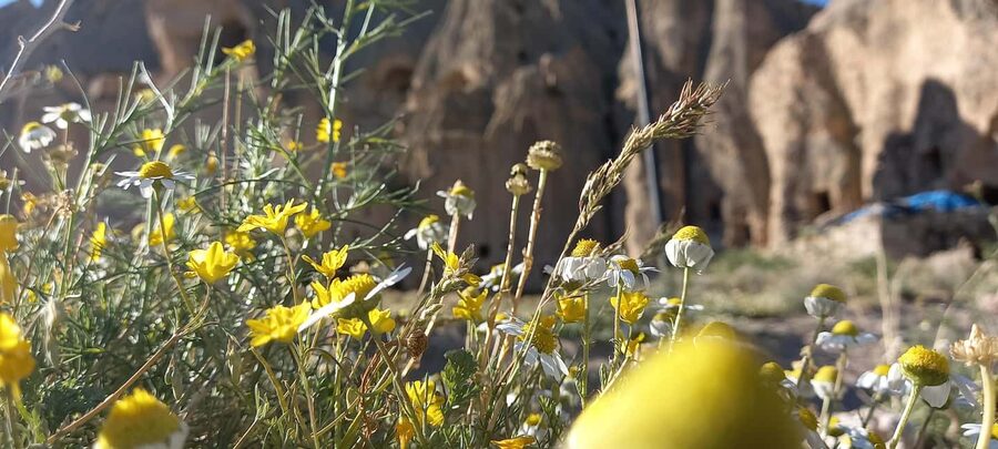 Cappadocia: Derinkuyu, Selime, Nar Crater Lake & Ihlara Tour - Who you will learn from matters: Kübra and Gokan’s kind of storytelling