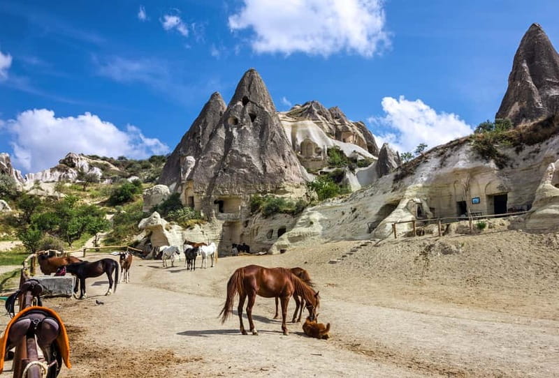 Cappadocia: Göreme Horse Riding, Fairy Chimneys w/Transfer - Pickup, Horses, and the Safety Briefing That Matters