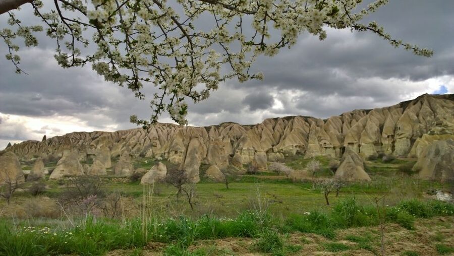 Cappadocia: Highlights Tour with Lunch and Entry Tickets - Göreme Open Air Museum: Cave Dwellings, Cave Churches, and the UNESCO Core