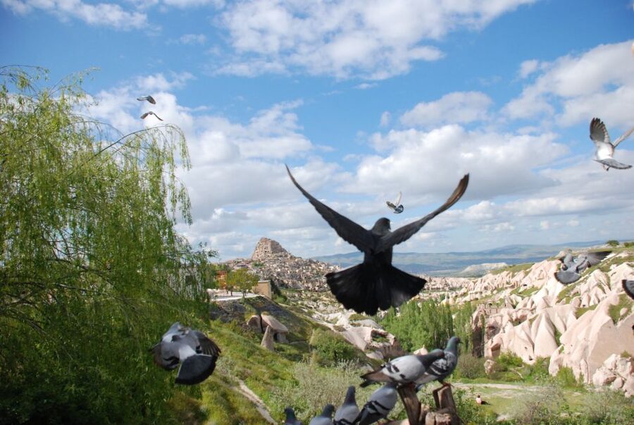 Cappadocia: Highlights Tour with Lunch and Entry Tickets - Uçhisar Castle: The Best End Point for Sweeping Views