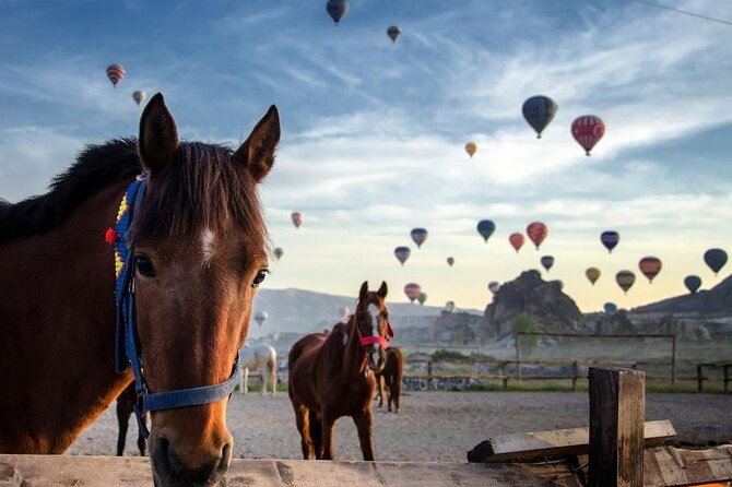 Cappadocia Horse Riding Experience Sunrise Sunset Daytime - Quick hits before you ride