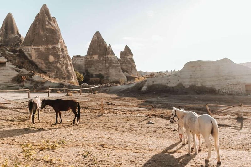 Cappadocia: Horse Riding Tour with Hotel Transfer - Hotel pickup across Central Cappadocia: the route starts with convenience