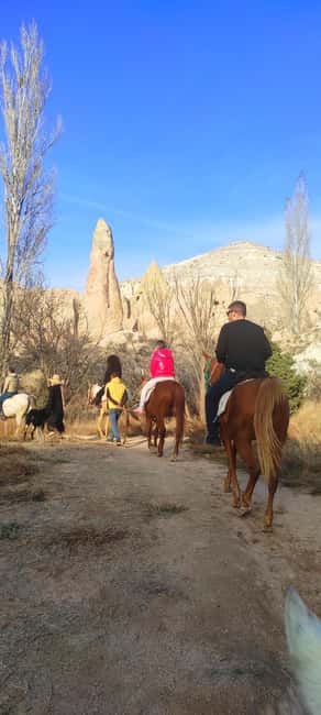 Cappadocia: Horse Tour For Amateurs - The Coach Ride That Sets the Tone