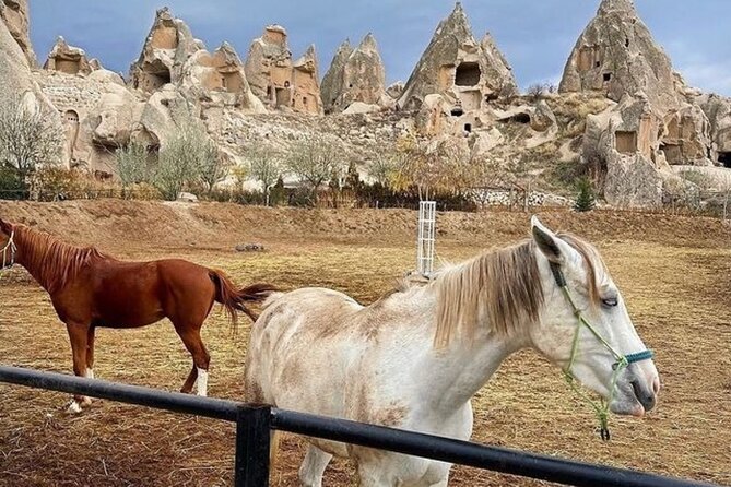Cappadocia Horseback Riding Tour (Transfer Included) - Why a Sunset Horse Ride Works in Cappadocia