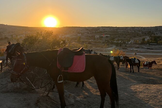 Cappadocia Horseback Riding Tour - Price and Value: What $20 Really Buys You