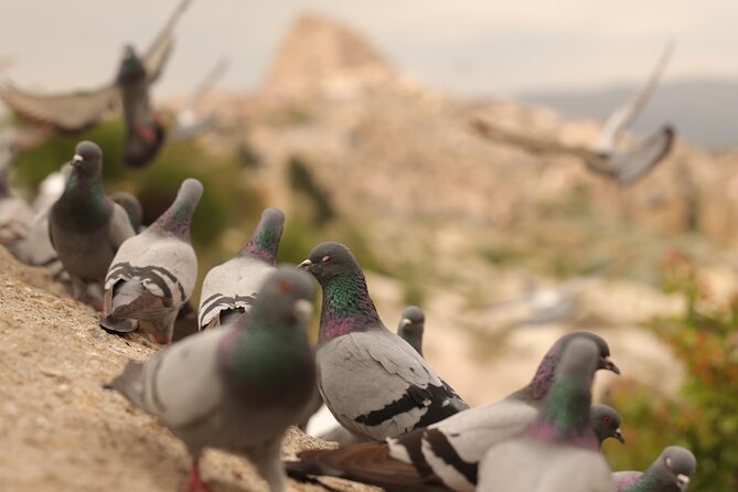 Cappadocia Private Guided Tour(Car&Licensed Guide) - Price and value: what you’re really paying for