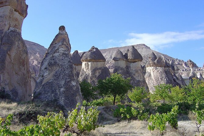 Cappadocia Private Red Tour - Stop 5: Pasabag’s three-headed fairy chimneys at Pasha’s Vineyard