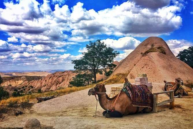 Cappadocia Red Tour (Pro Guide, Tickets, Lunch, Transfer incl) - Stop 1, Uçhisar Castle: The Region’s Highest Rock Point