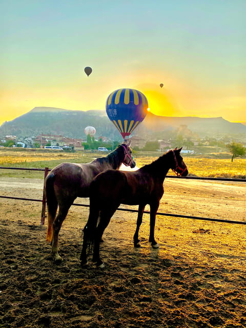 Cappadocia's Sunrise Horseback Riding - Rose Valley at first light: what you’ll notice while you ride