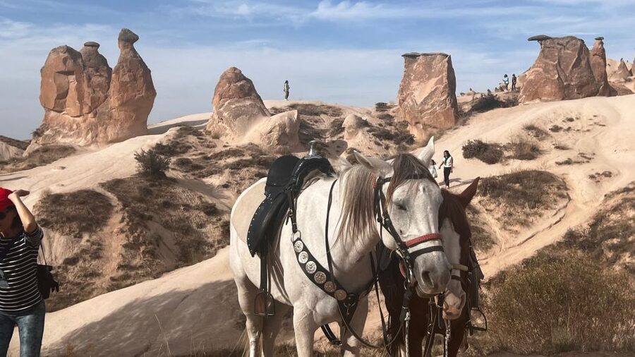 Cappadocia: Small-Group North Tour - Uçhisar Photo Stops and Shopping Time Without the Chaos