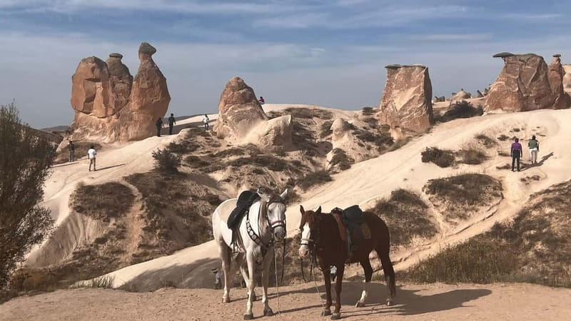 Cappadocia: Small-Group North Tour - Avanos Pottery on the Kızılırmak River: Watch, Then Try
