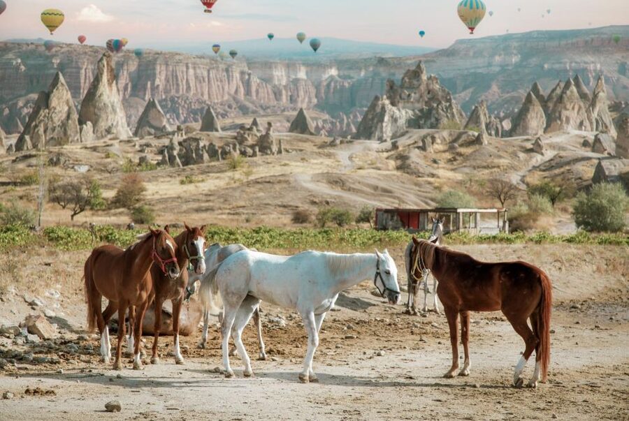 Cappadocia: Sunset Horseback-Riding Tour - The Photography Reality: Great Shots, But Stay Engaged
