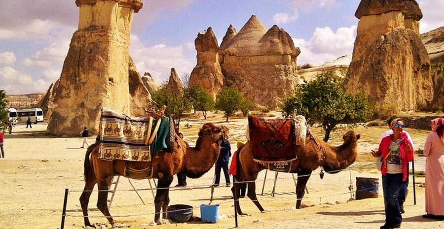 From Cappadocia: Sunrise or Sunset Camel Riding Day Trip - Key Things to Know Before You Go