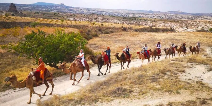From Cappadocia: Sunrise or Sunset Camel Riding Day Trip - Should You Book This Cappadocia Camel Day Trip?