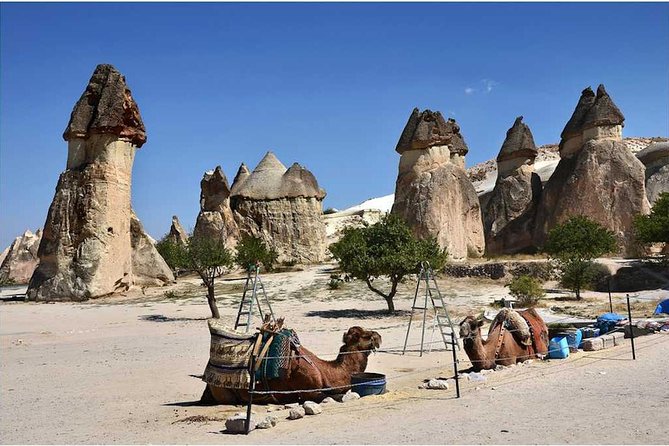 Full-Day Cappadocia Tour with Goreme Open Air Museum and Fairy Chimneys - What the 8 Hours Actually Look Like