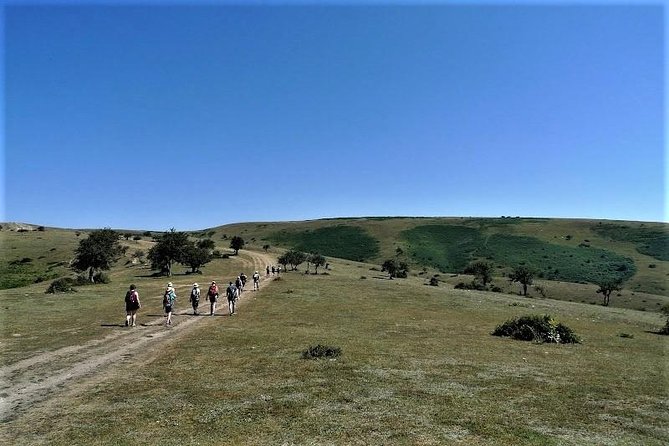 Full-Day Hiking at Cappadocia - Red Valley churches, pigeon houses, and cave details