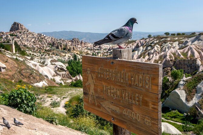 Full Day Private Cappadocia Tour (Guide & Driver) - Love Valley Viewpoint With Heart-Shaped Swings