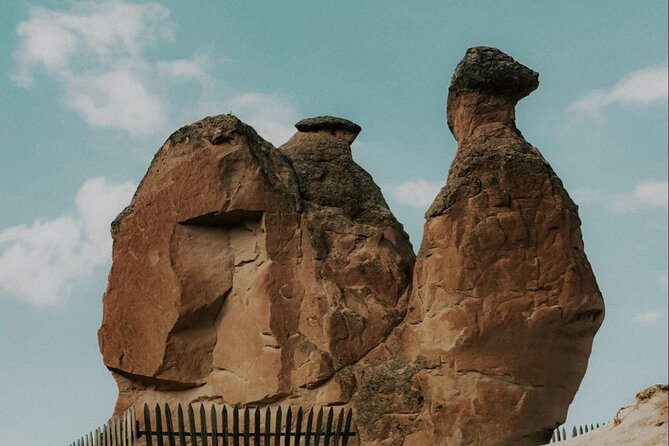 Full-Day Private Tour in Cappadocia with Guide and Driver - Paşabağ (Monks Valley), the fairy chimneys you came for