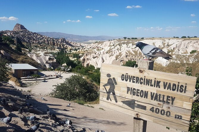 Half Day Private Underground City Tour - Key Highlights You’ll Actually Feel