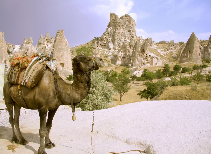 Istanbul to Cappadocia All Inclusive Private Day Tour - Goreme Open Air Museum: rock-cut churches done right