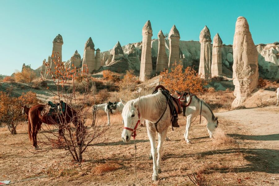 Istanbul to Cappadocia All Inclusive Private Day Tour - Uchisar Castle: your first big viewpoint stop