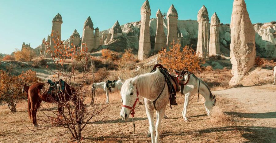 Istanbul to Cappadocia All Inclusive Private Day Tour - Flights and pickup: the 04:00 to 05:00 reality check