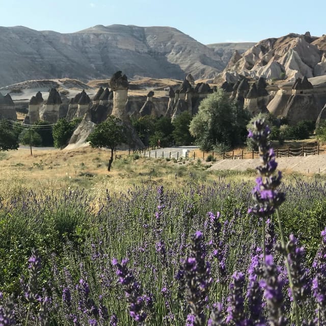 Mochiron Tour Full day Cappadocia With Japanese Guide - Pasabag Monk’s Valley and fairy chimneys near Zelve
