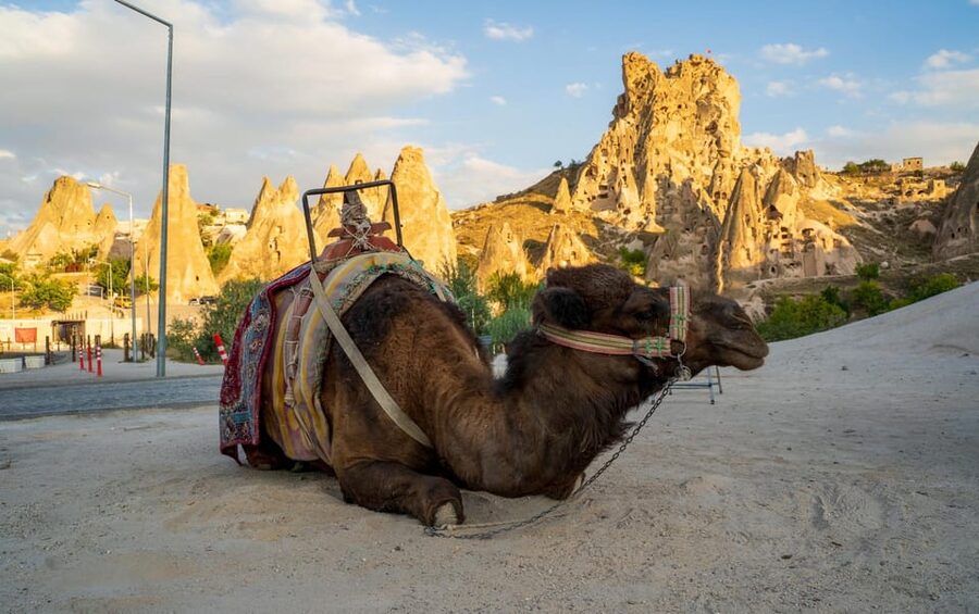 Sunrise and Sunset Camel Ride with Stunning Cappadocia Views - Riding Comfort Tips: Shoes, Sunglasses, and Wind-Proof Planning